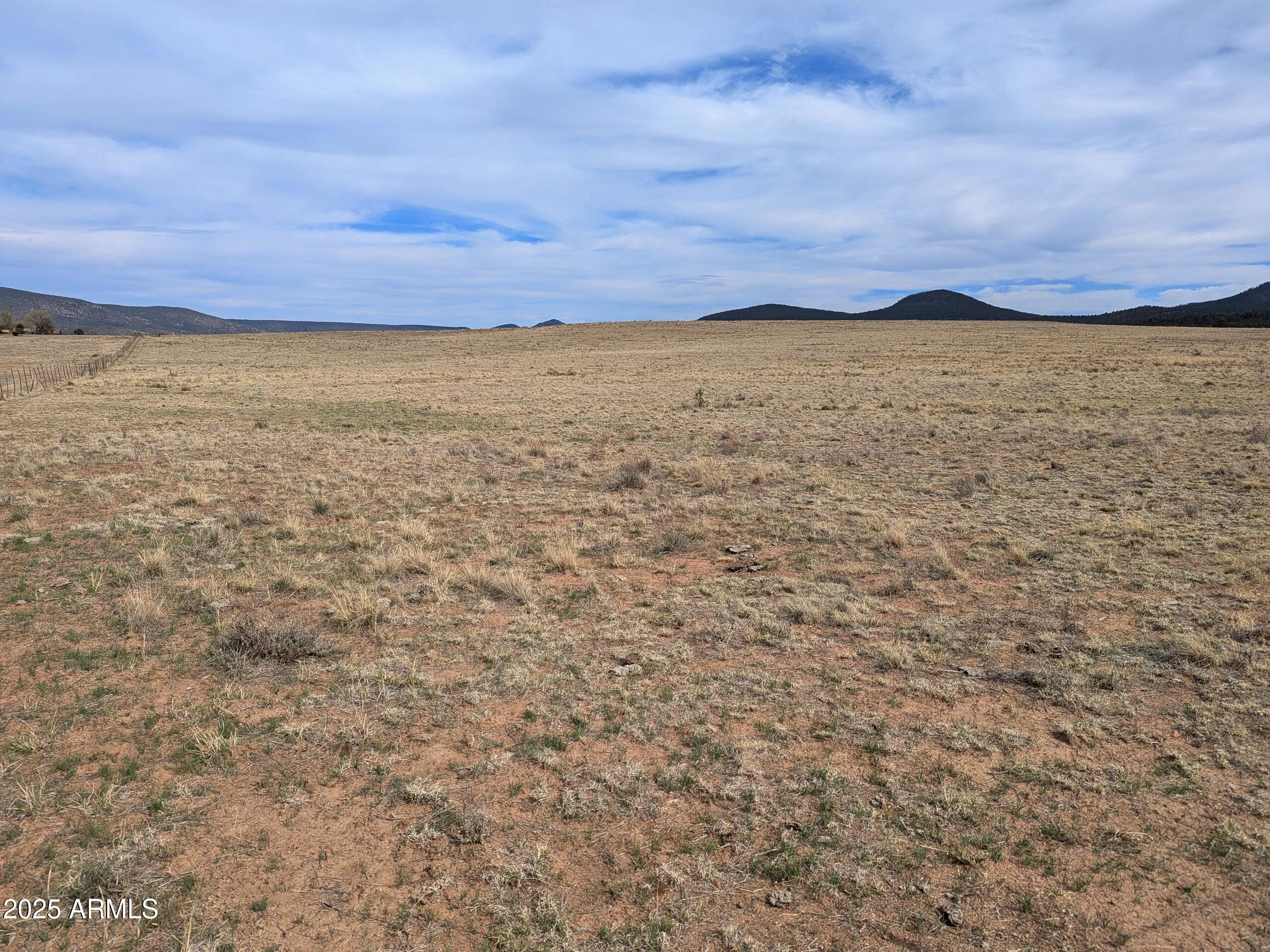 349 S ZACHARIAE RANCH Road 1, Young, AZ 85554