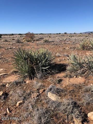 Lot 663 Chevelon Canyon Ranch 663, Heber, AZ 85928