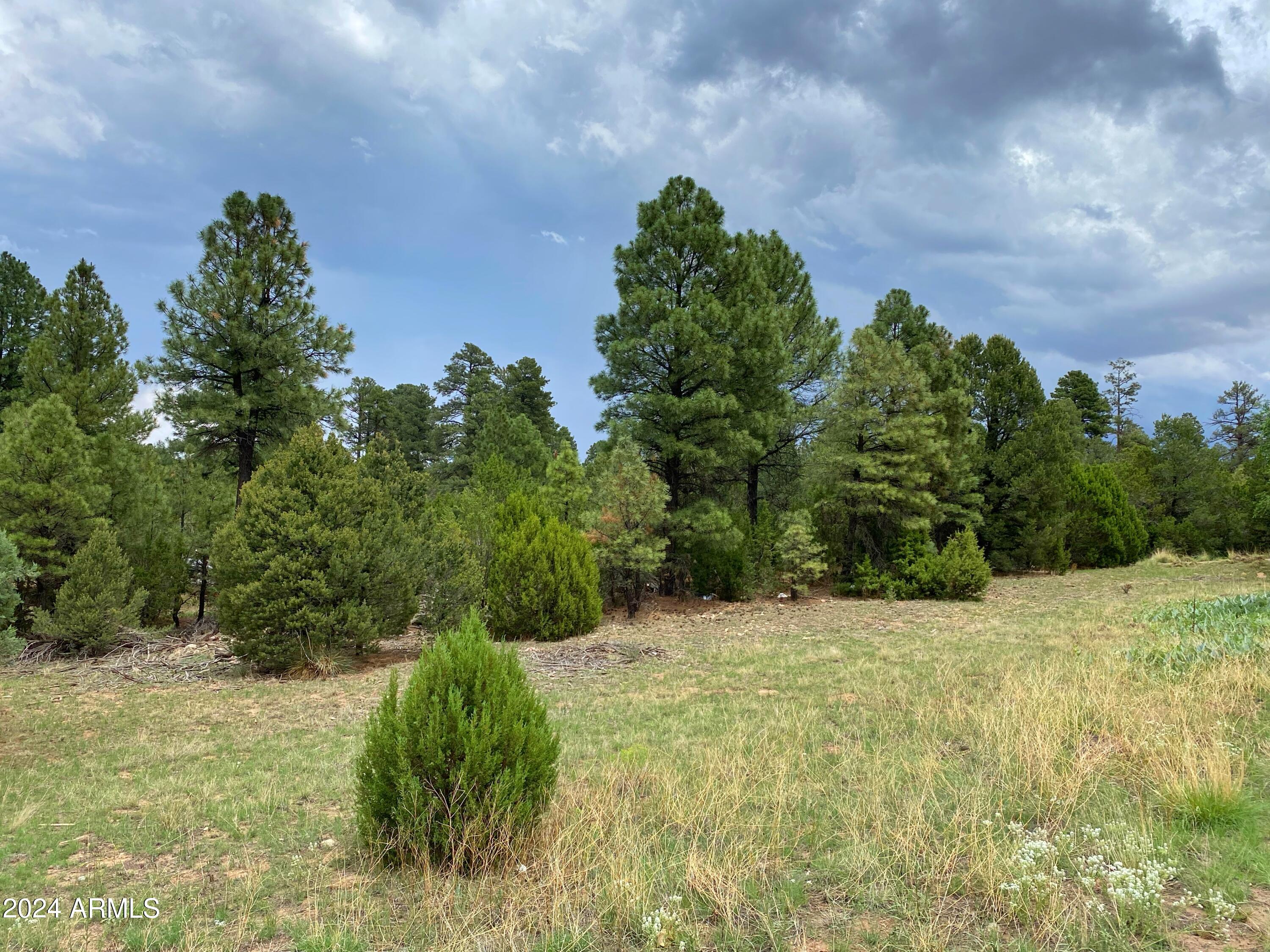 2026 STATE ROUTE 277 C, Overgaard, AZ 85933
