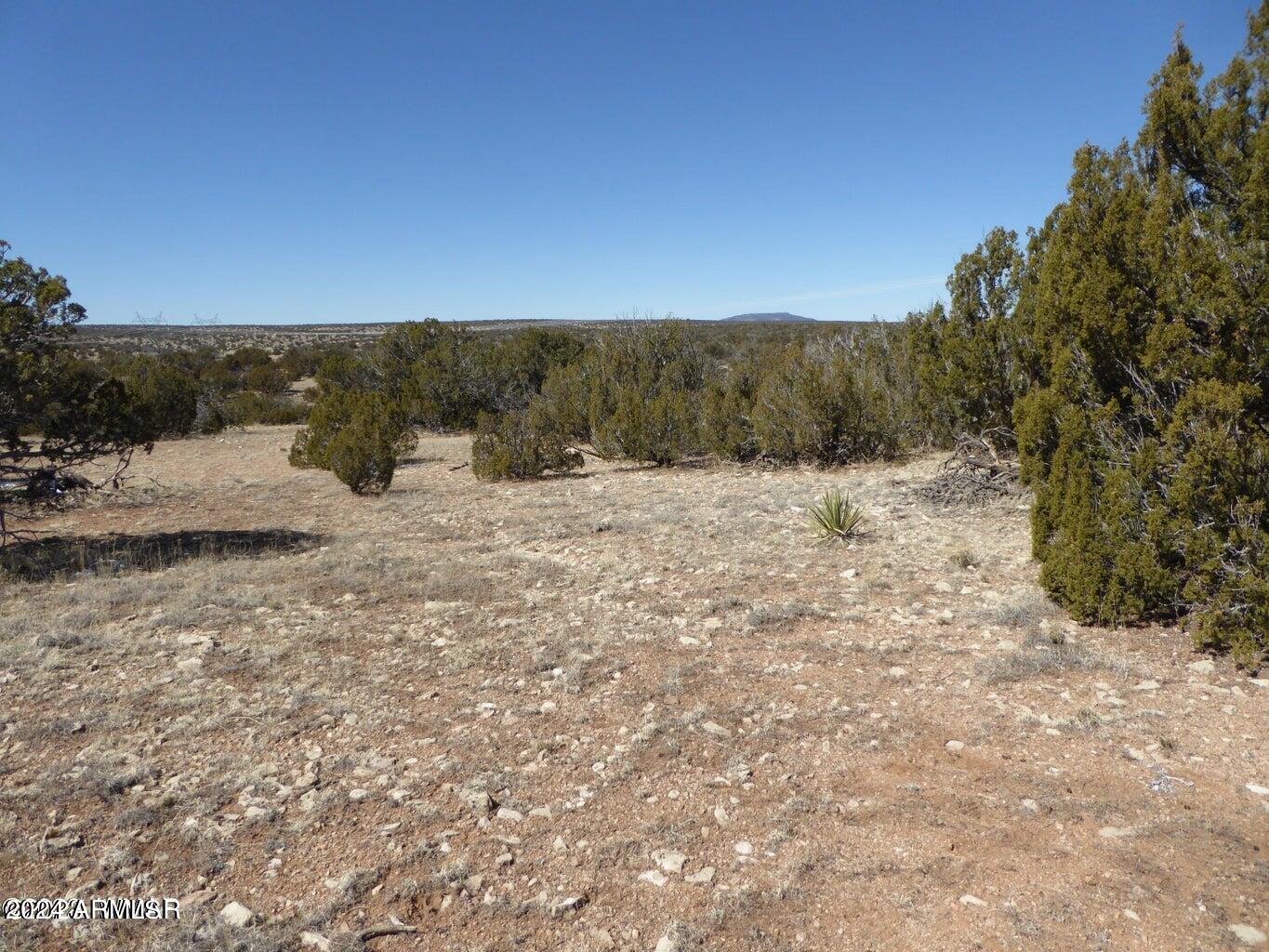 Sec 12 T14N R16E: SW4 SE4 -, Heber, AZ 85928