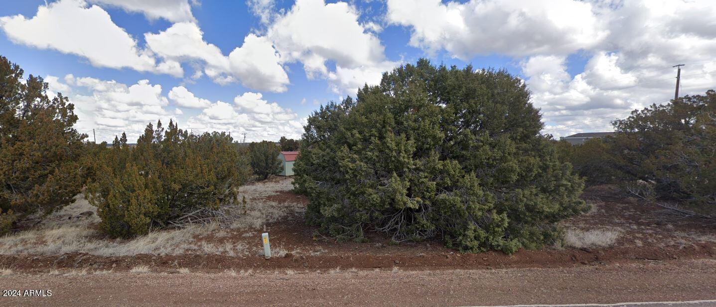 8429 JUNIPER Place 15, Show Low, AZ 85901