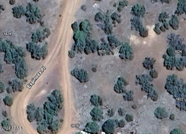 1825 ESPINOSA Place 69, Show Low, AZ 85901