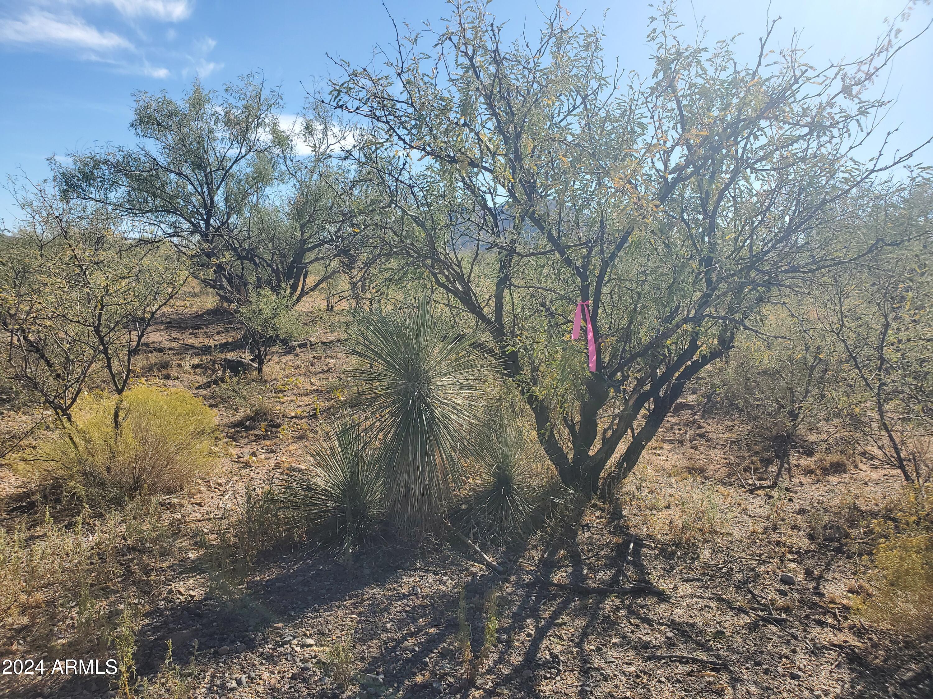 1978 CALLE COMINOS 6, Rio Rico, AZ 85648