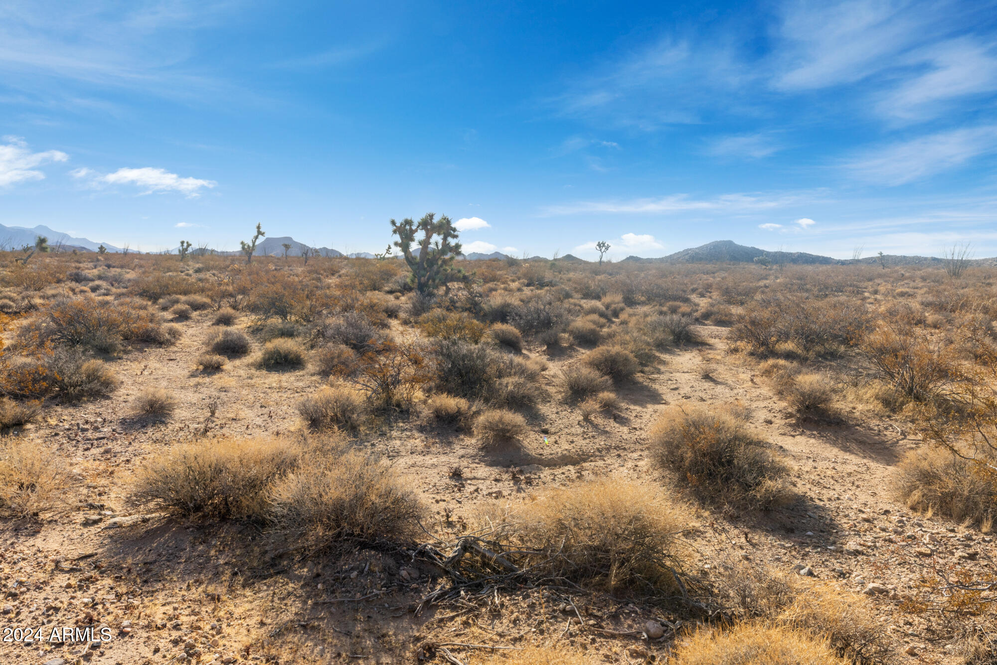 300 W Mary Drive 3055, Yucca, AZ 86438