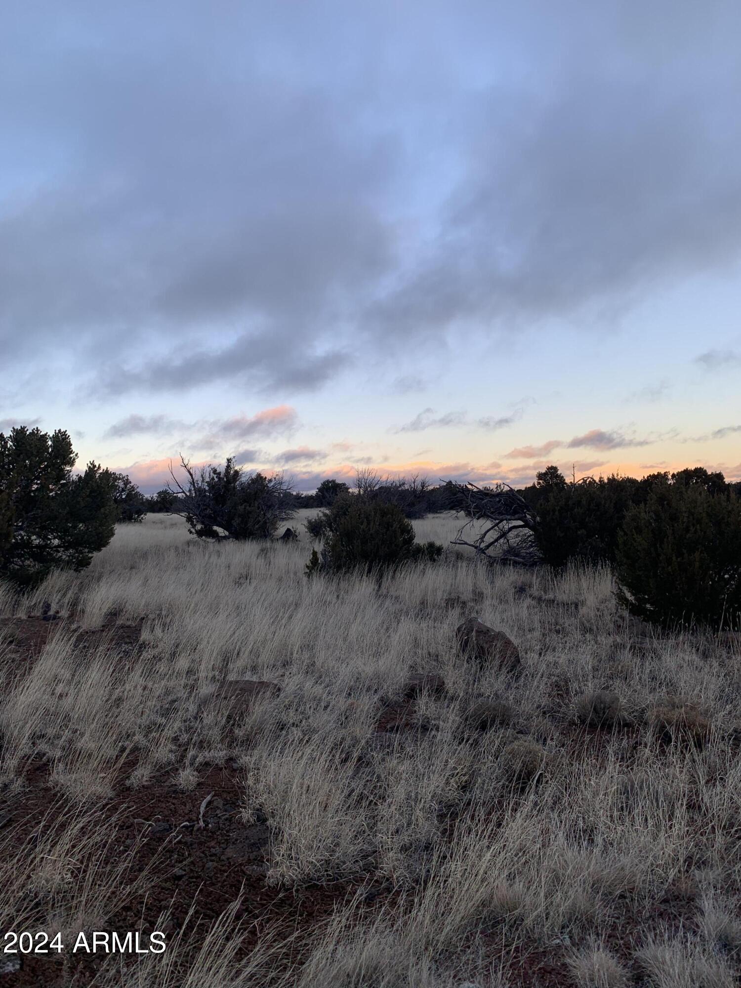 No Address Lot 1916 Mills Lane Road 1916, Concho, AZ 85924