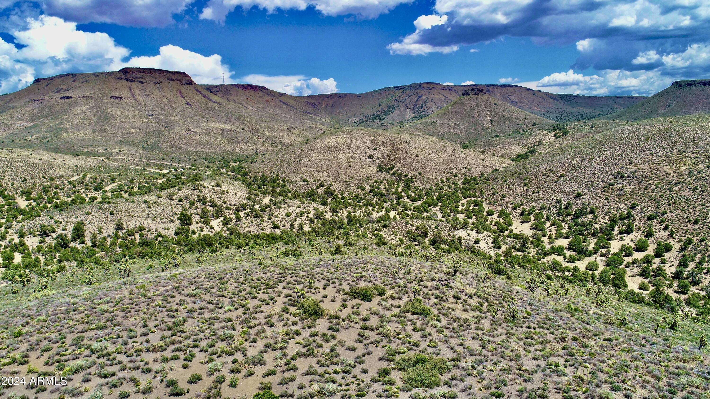 XXXXX E Diamond Bar Road E -, Meadview, AZ 86444