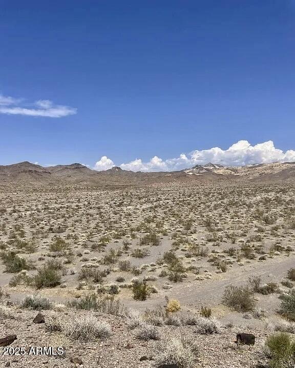 TBD N 40 acres - 1 Road -, Bullhead City, AZ 86429