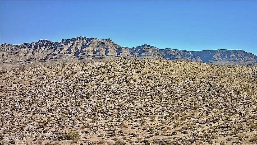 XXX Old Kingman Highway -, Bullhead City, AZ 86429