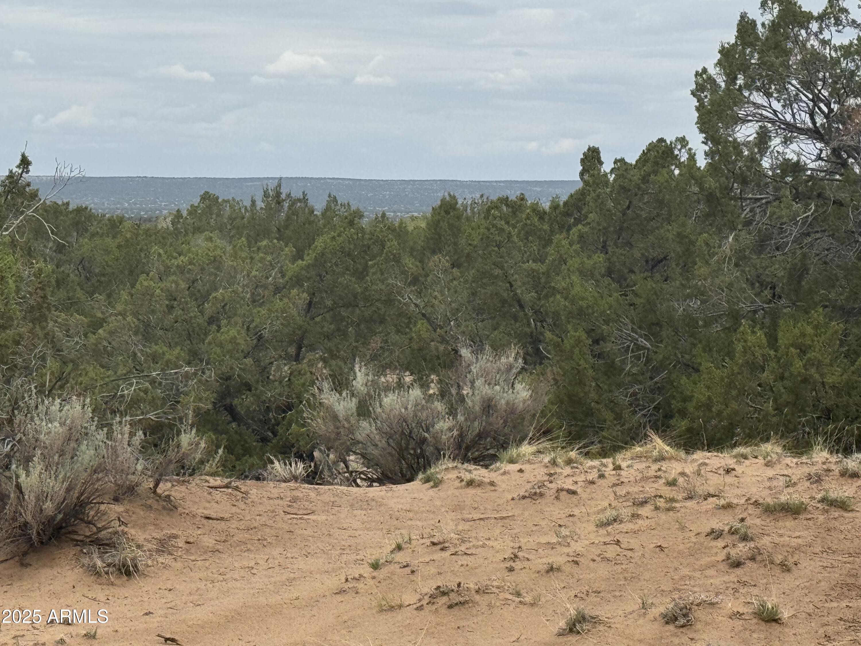 Lot 78 Witch Well Ranches 78, St Johns, AZ 85936