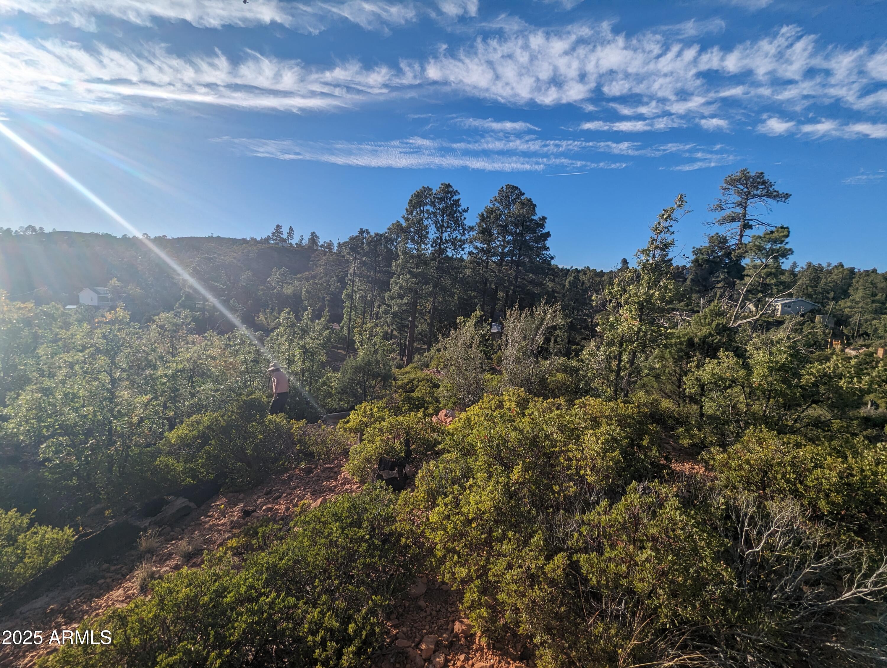 922 OLD SETTLER Trail 390, Show Low, AZ 85901