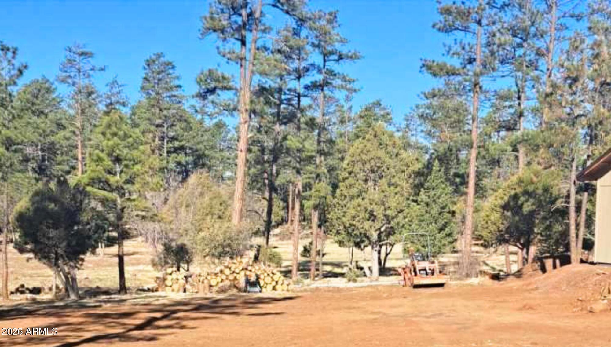 5452 RED SQUIRREL Lane 29, Lakeside, AZ 85929