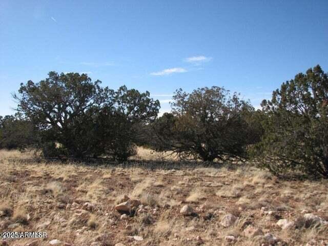 6251 Dry Pasture Run Lot 216 216, Heber, AZ 85928