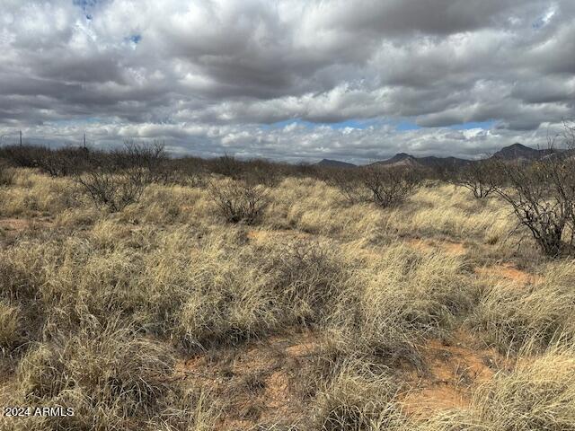 TBD S Logans Run 18, Hereford, AZ 85615