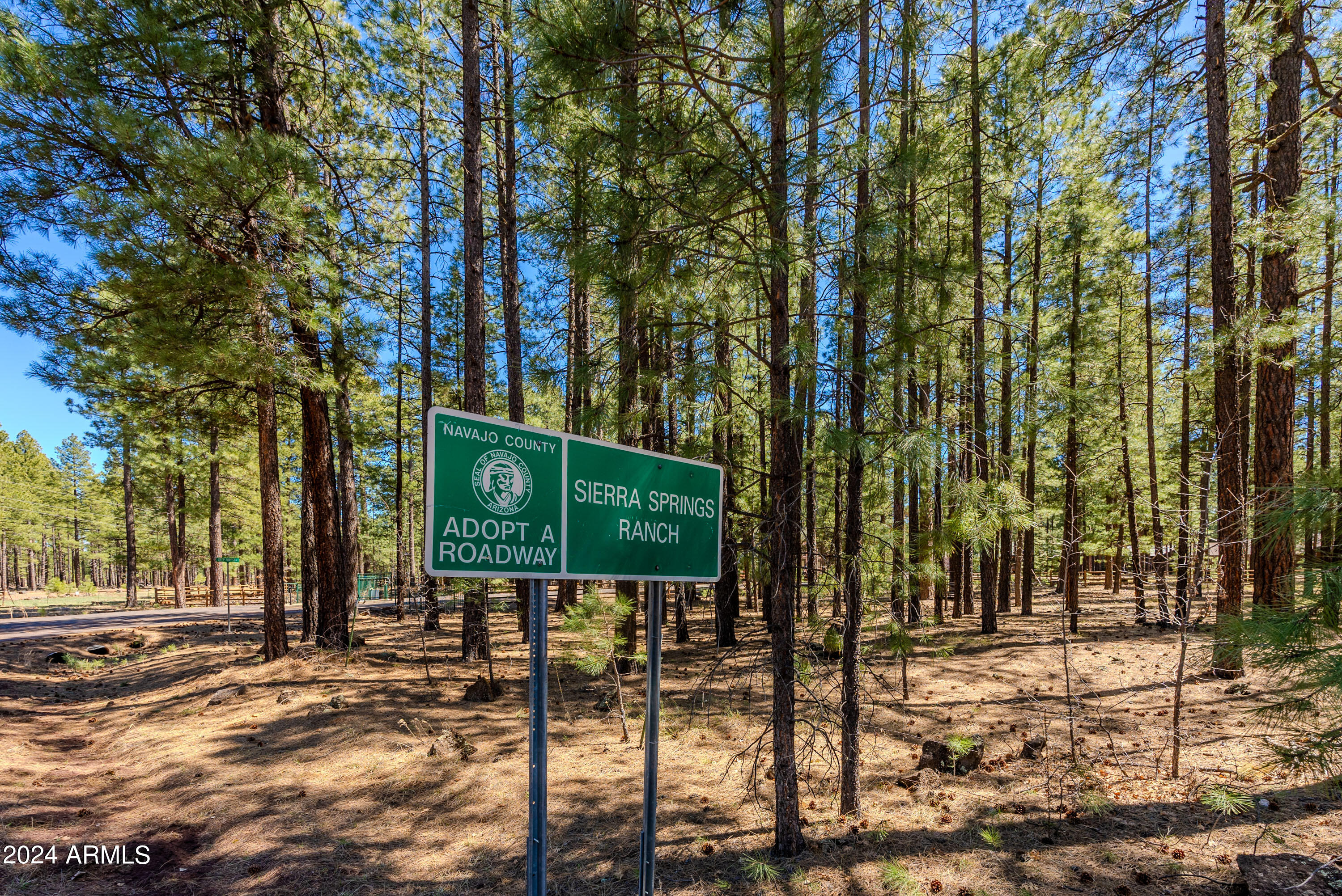 4583 SKY HI Road -, Pinetop, AZ 85935