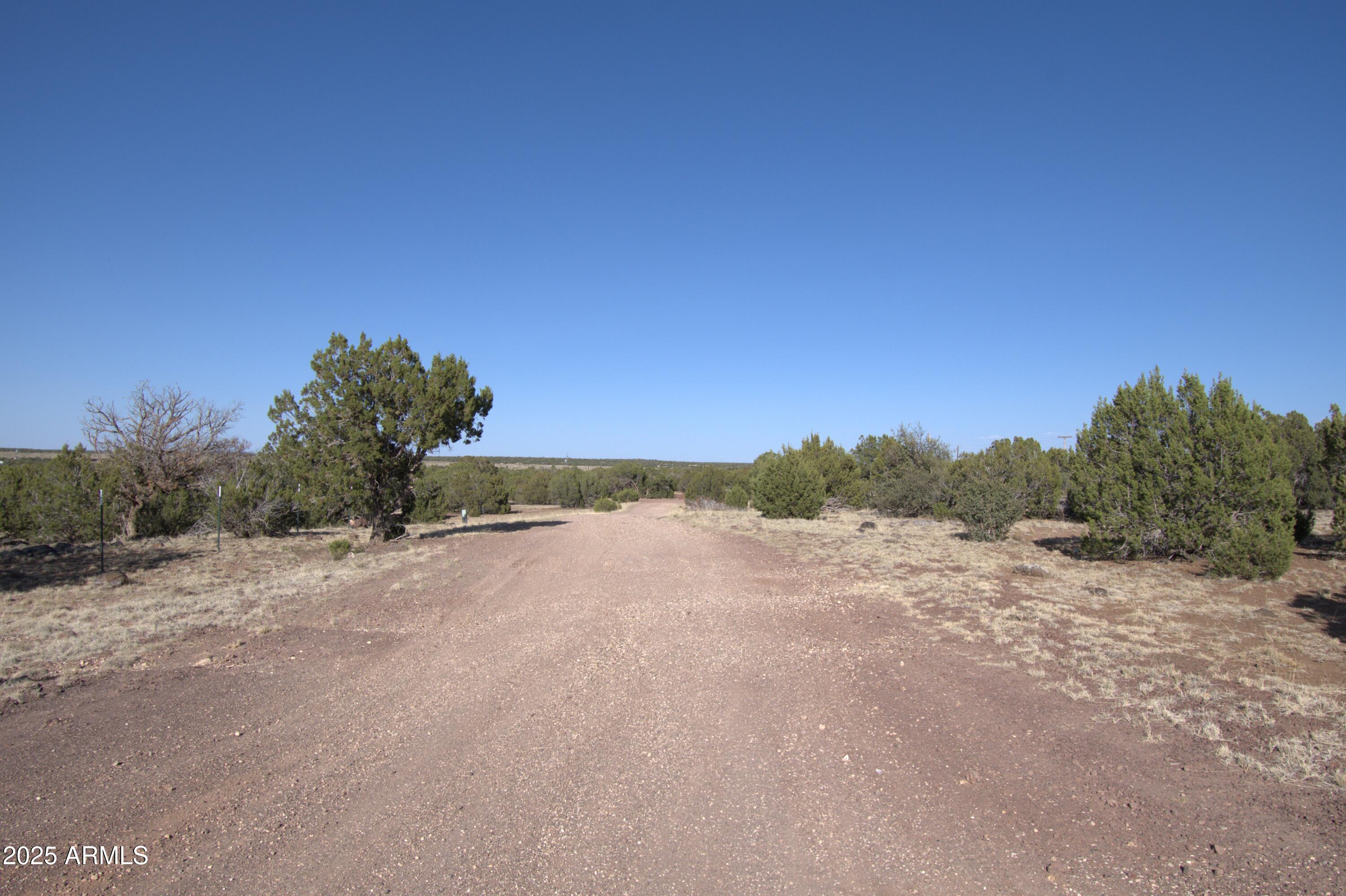 TBD 304-12-020 A & B Drive 14, Show Low, AZ 85901