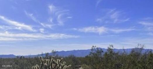 17XXX S Douglass Drive 64, Yucca, AZ 86438