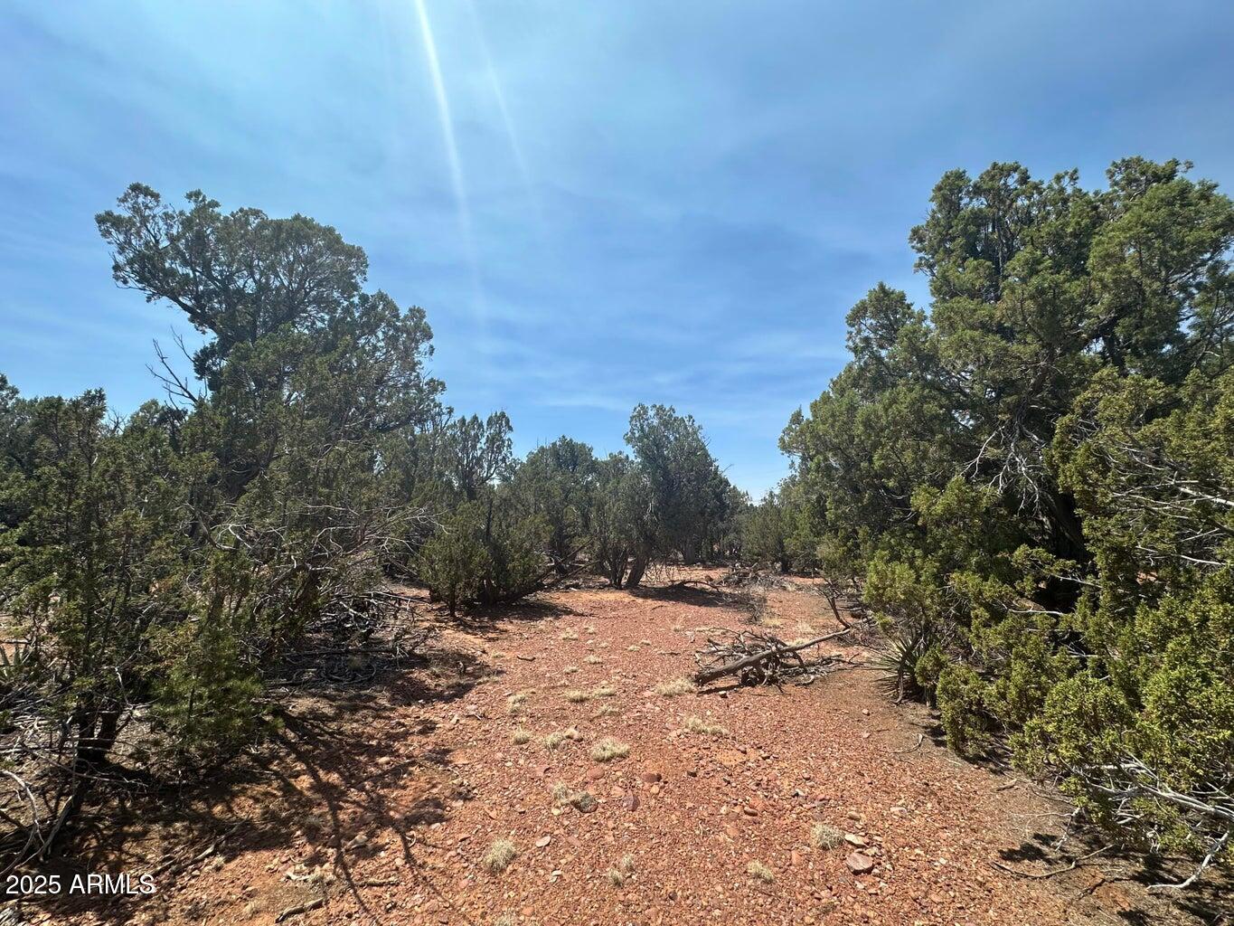 Lot #2 Power Line Road S, Heber, AZ 85928