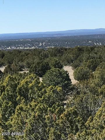 Lot 20 Idlewild Ranch 20, Concho, AZ 85924