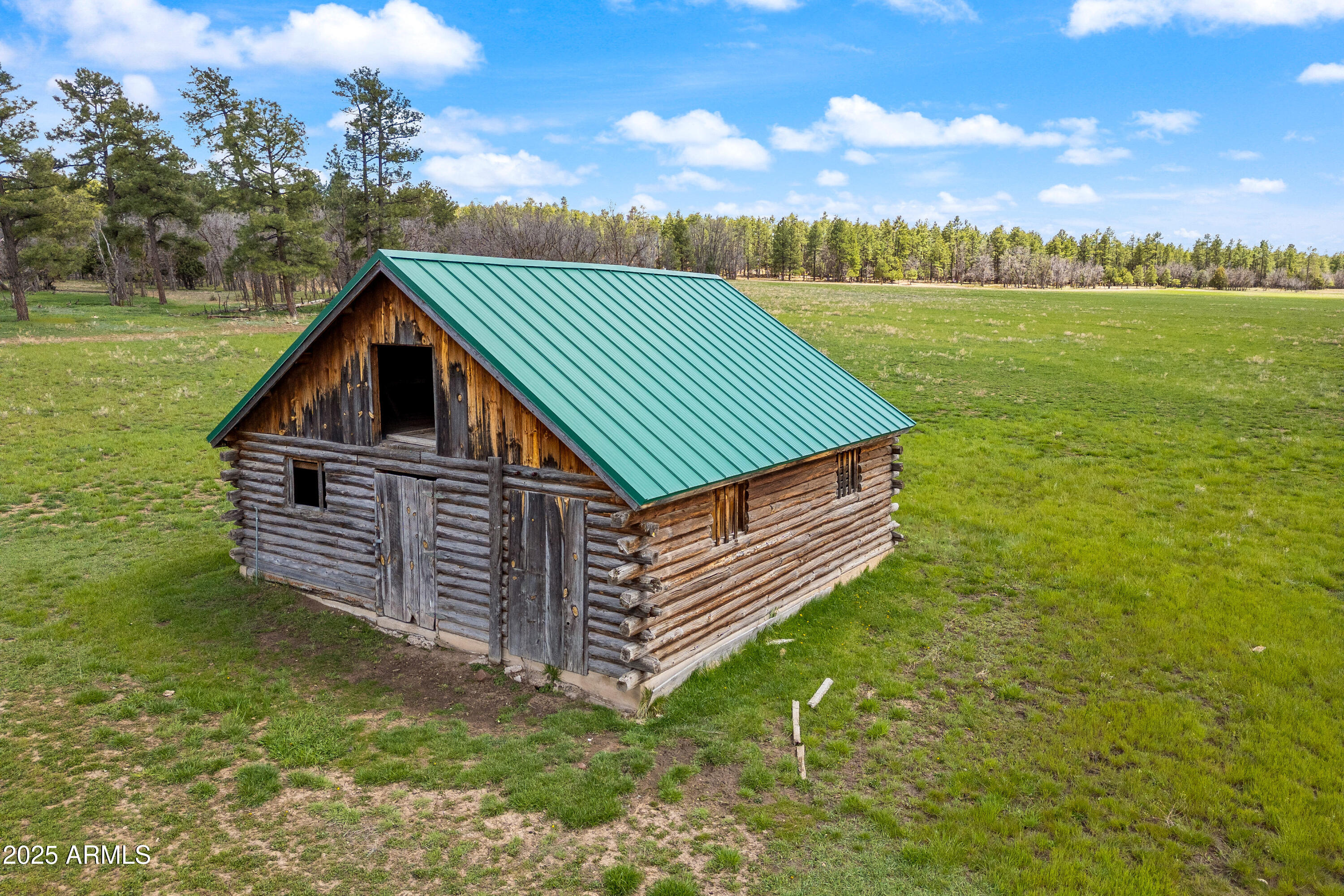 931 W WOODLAND LAKE Road 13, Lakeside, AZ 85929