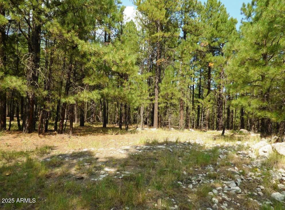 5131 Forest Service Road 137A Road Prcl40375003B A & B, Happy Jack, AZ 86024
