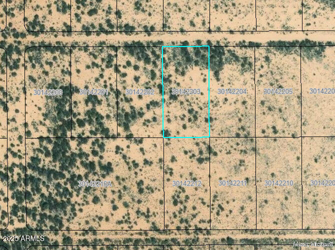1401 appx E Tamarack Road -, Bowie, AZ 85605