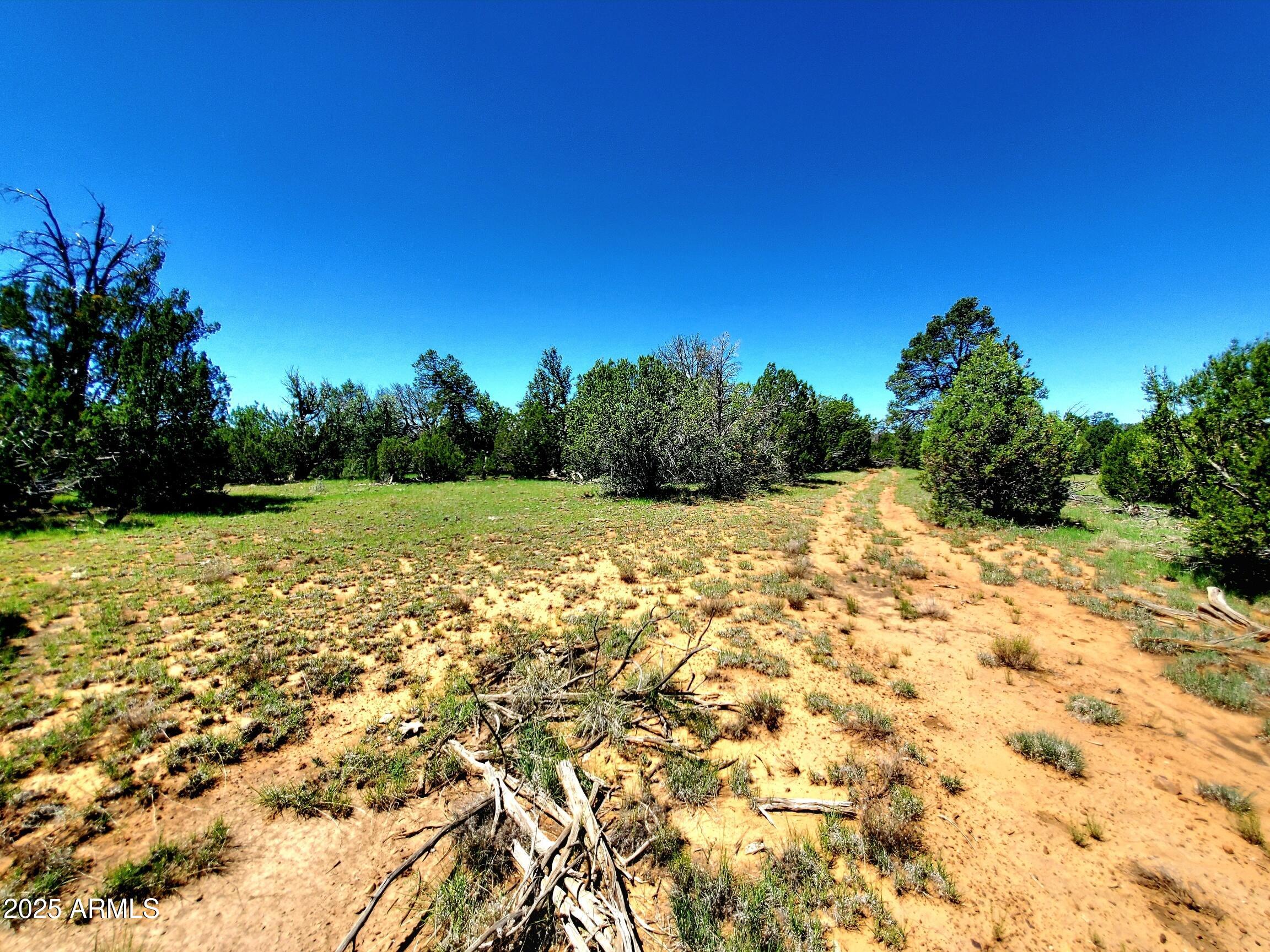 8571 HAVEN CREST Drive 229, Happy Jack, AZ 86024