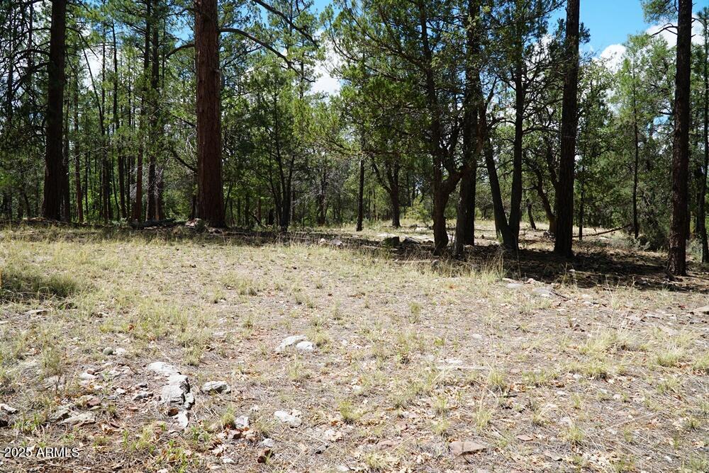 283 S LOOKOUT Trail 44, Payson, AZ 85541