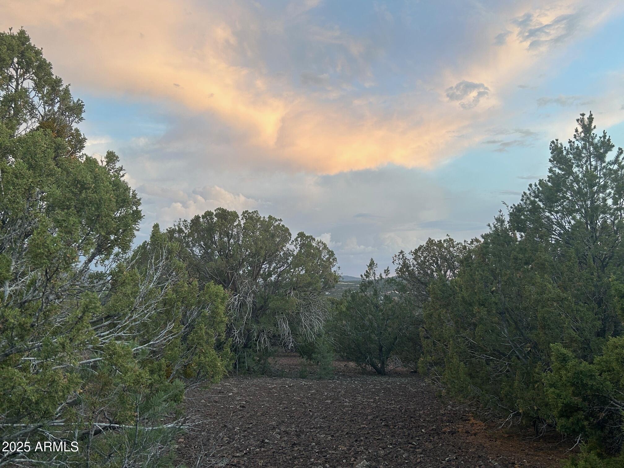 lot 11 Uphill Trail 11, Vernon, AZ 85940