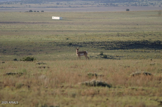Lot 55 Concho Lakeland 55, Concho, AZ 85924