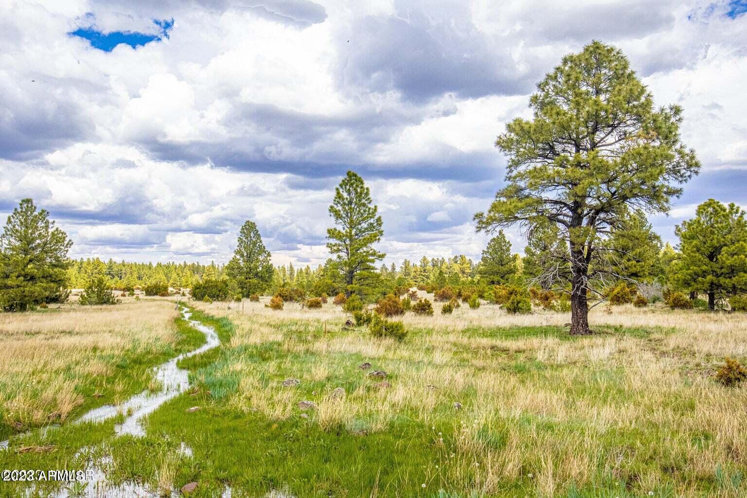 000 Dipping Vat Spring Fire Road -, Vernon, AZ 85940