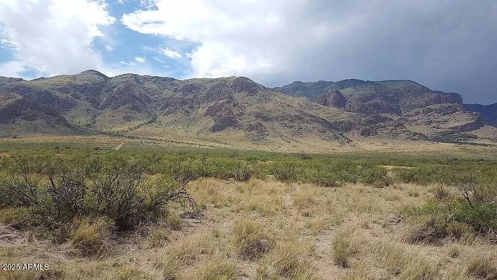 ---- 37 Acres Blacktail Road -, San Simon, AZ 85632