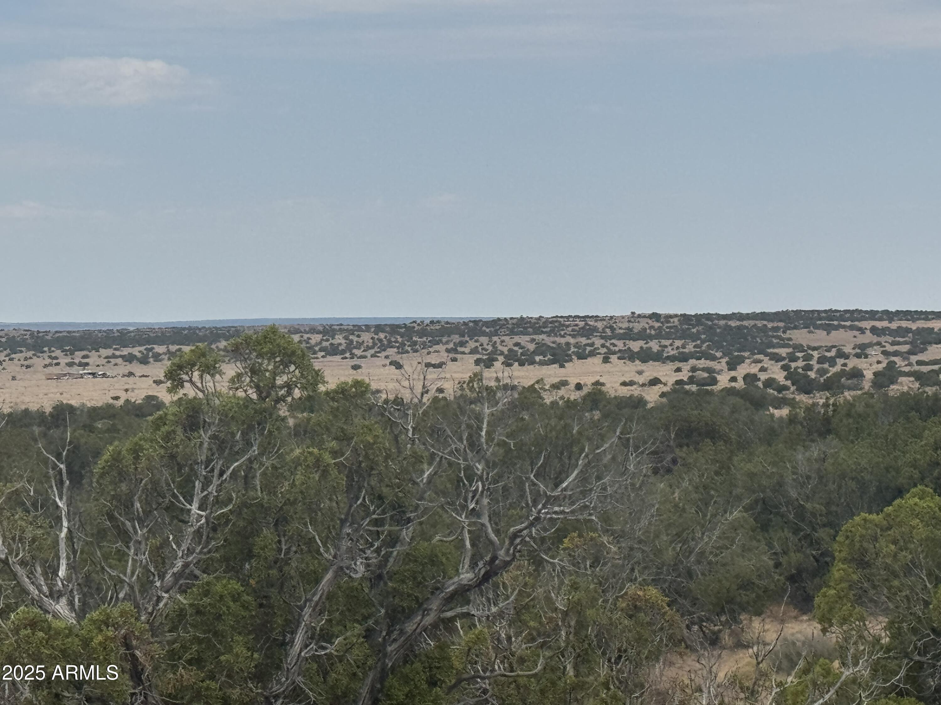 Lot 99 Carrizo Ranch 99, St Johns, AZ 85936