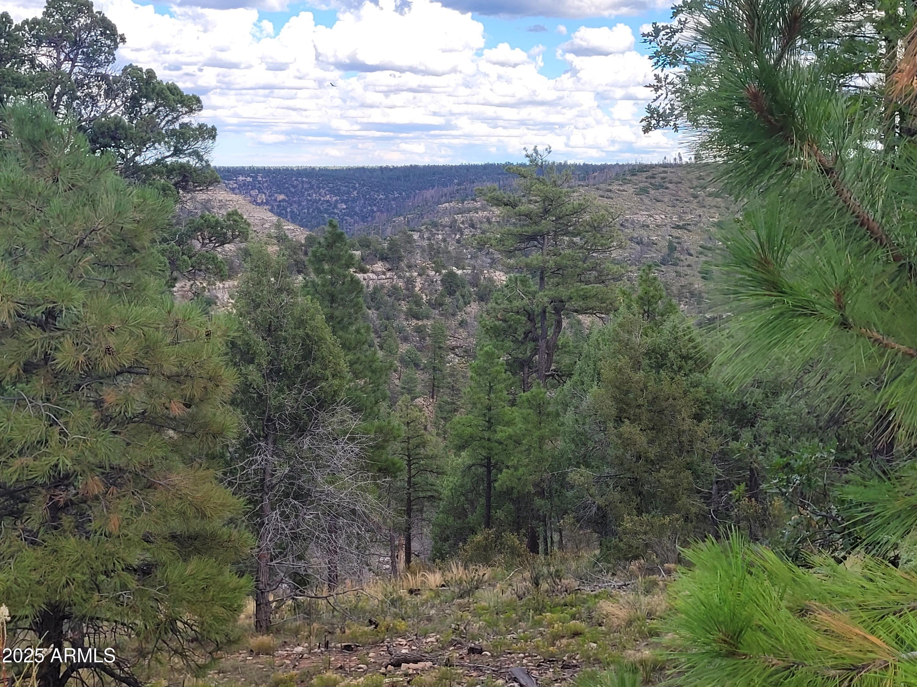 5089 MORNING VIEW Drive 5, Happy Jack, AZ 86024