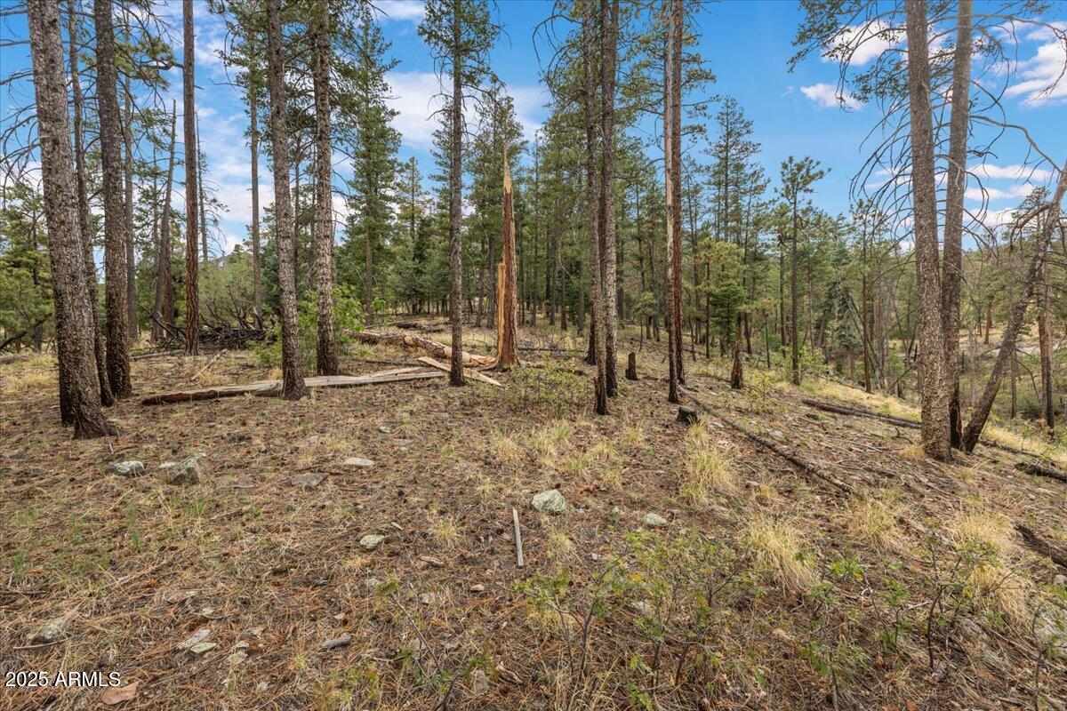 14 COUNTY RD 2074 29, Alpine, AZ 85920