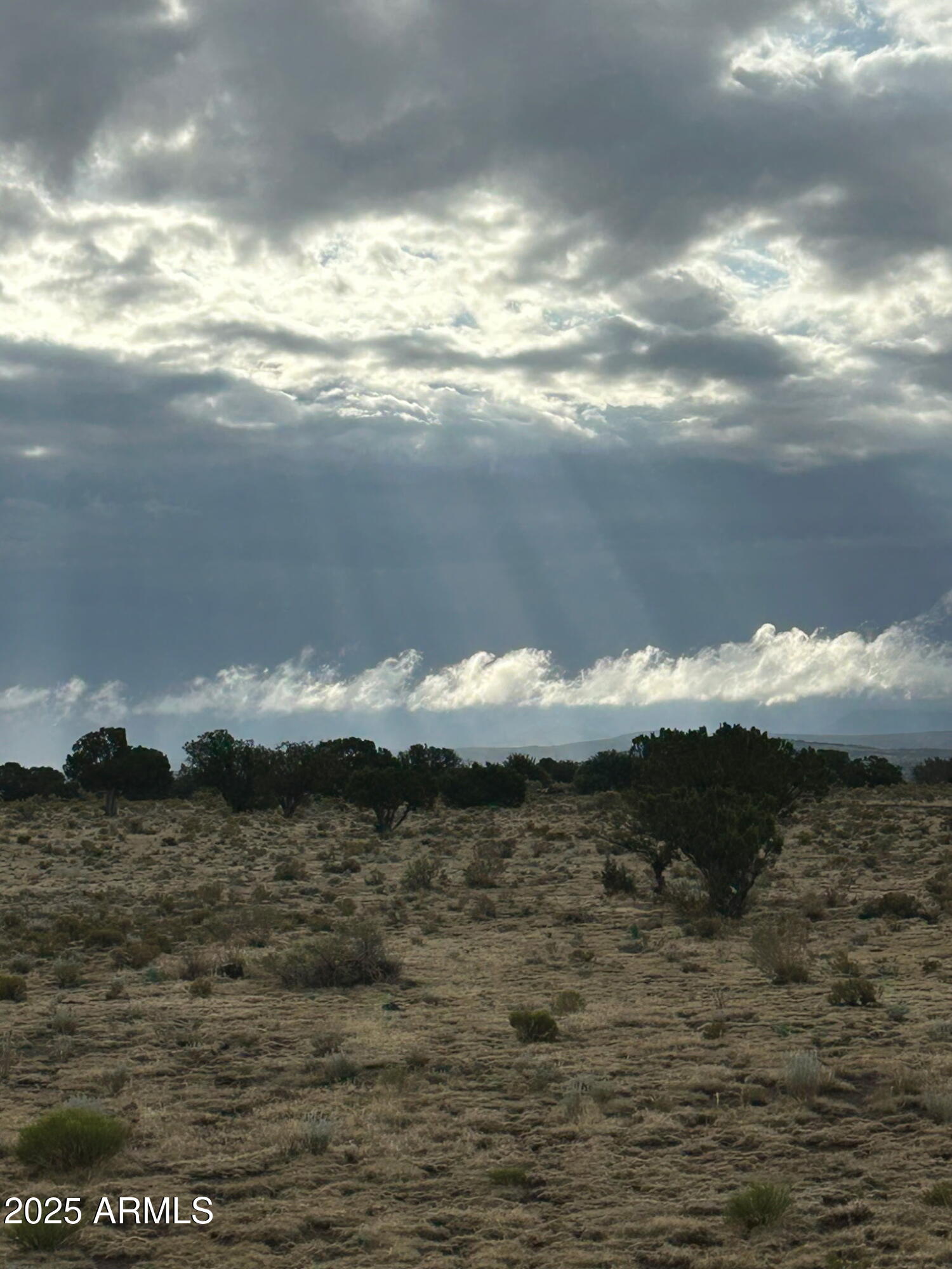 12393 MESA VIEW Road _, Williams, AZ 86046