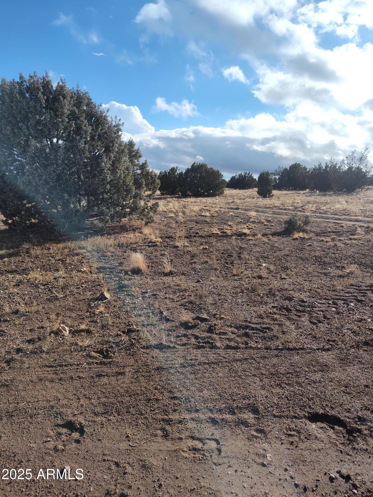 00000 N Deliverace 453, Seligman, AZ 86337