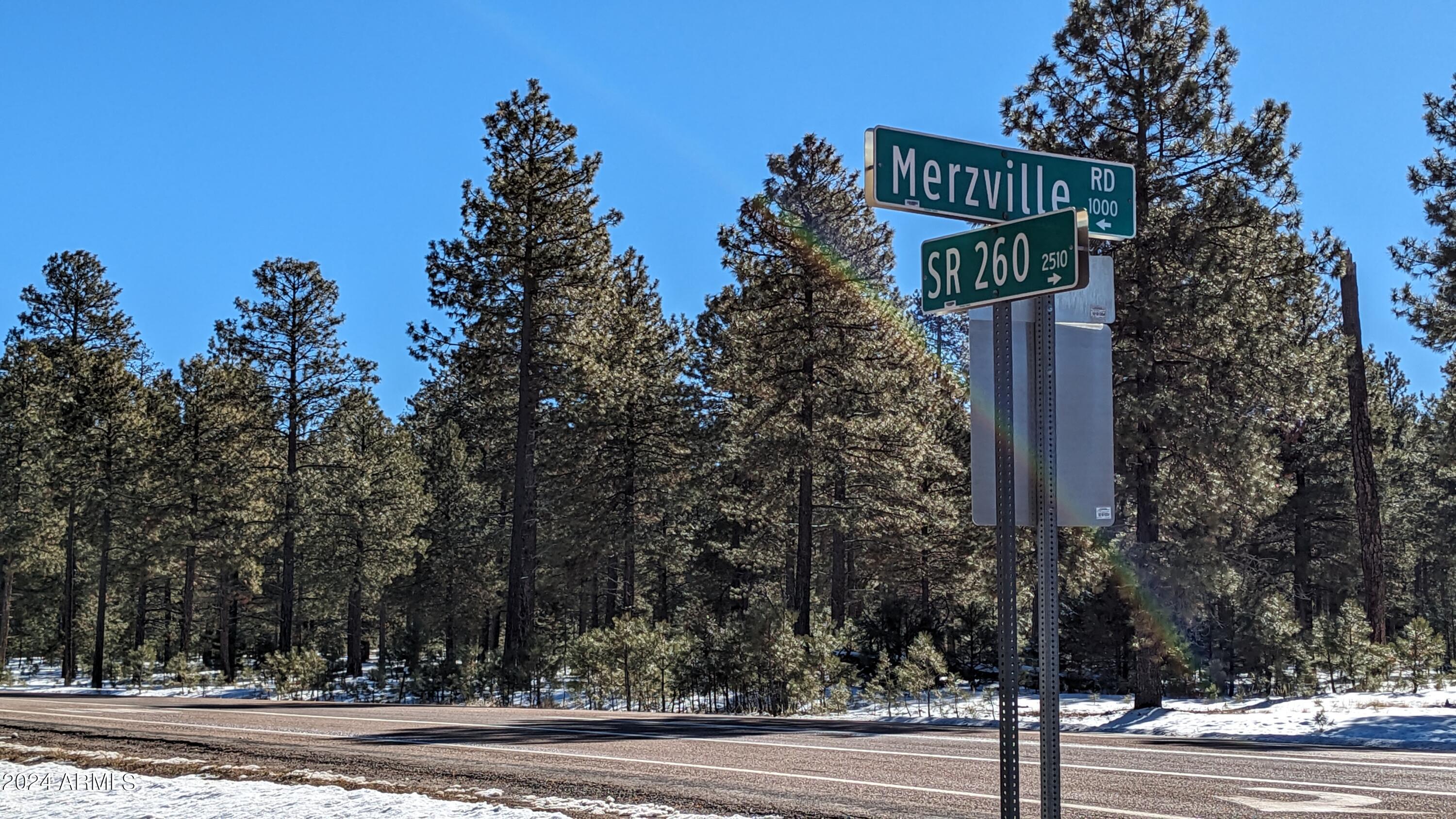 1019 MERZVILLE Road 234, Forest Lakes, AZ 85931
