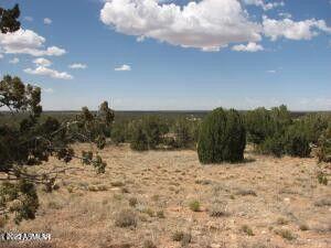 Lot 361 Chevelon Canyon Ranch 361, Heber, AZ 85928