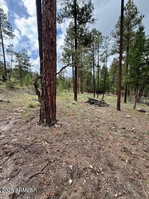 7 Eric Lane 28, Alpine, AZ 85920