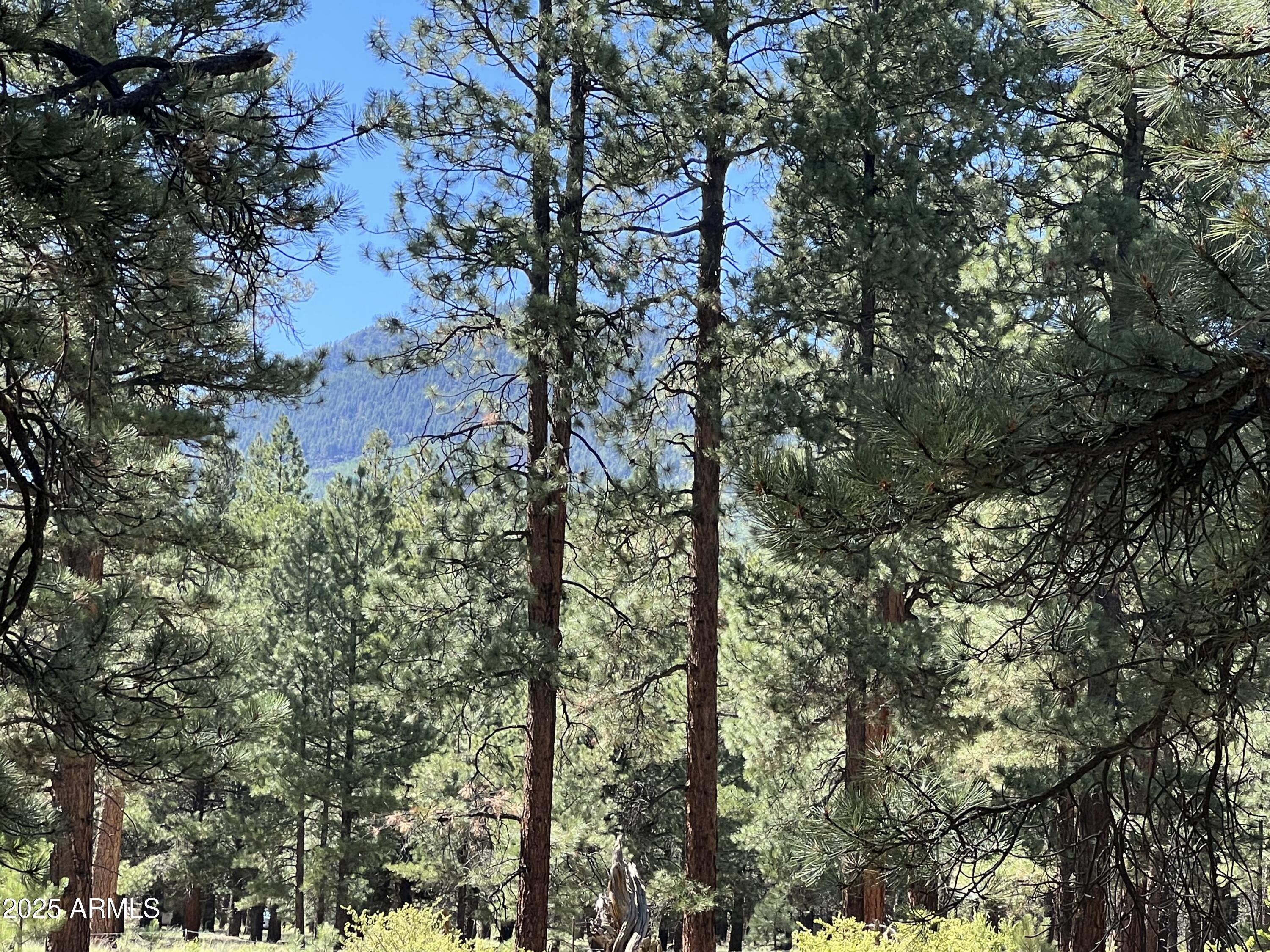 0 Forest Road 193 Street 0, Flagstaff, AZ 86001