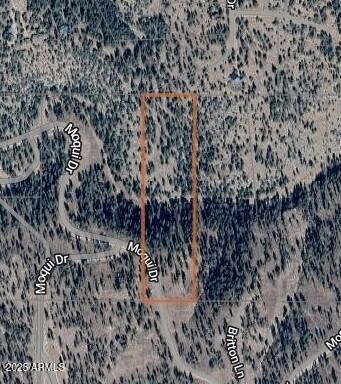1129 W MOQUI Drive 9, Happy Jack, AZ 86024
