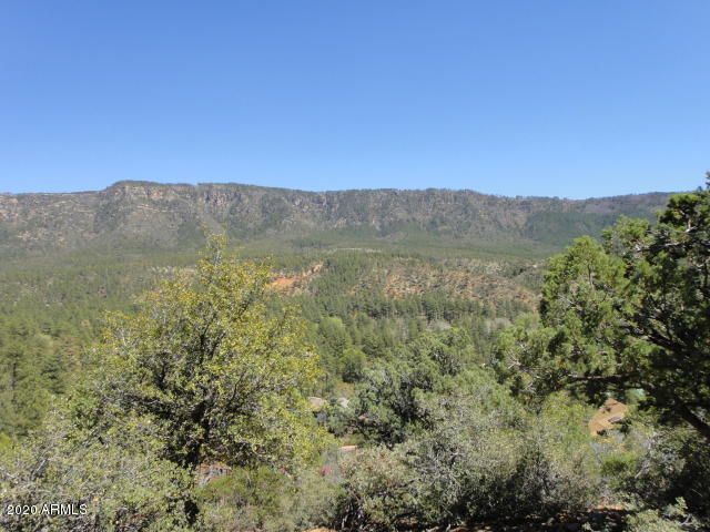 5059 N HILLTOP Drive 147, Pine, AZ 85544