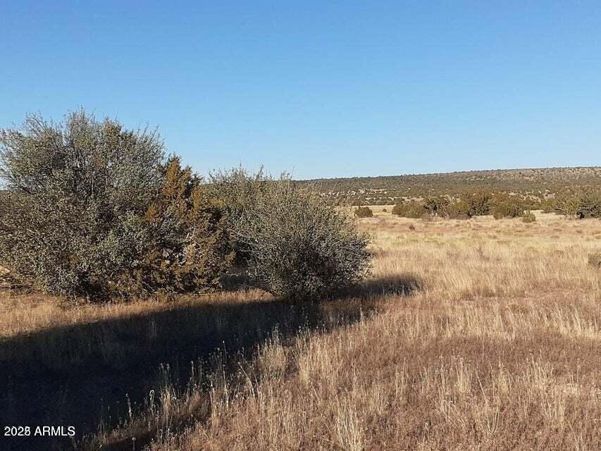 602 DENNY 5 Road -, Seligman, AZ 86337
