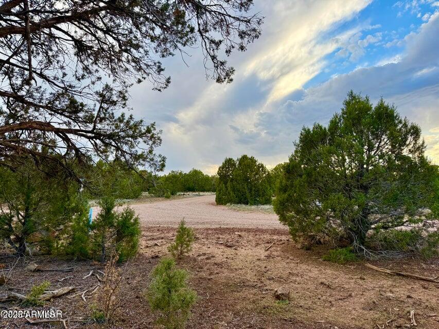 1821 Shumway Street -, Show Low, AZ 85901