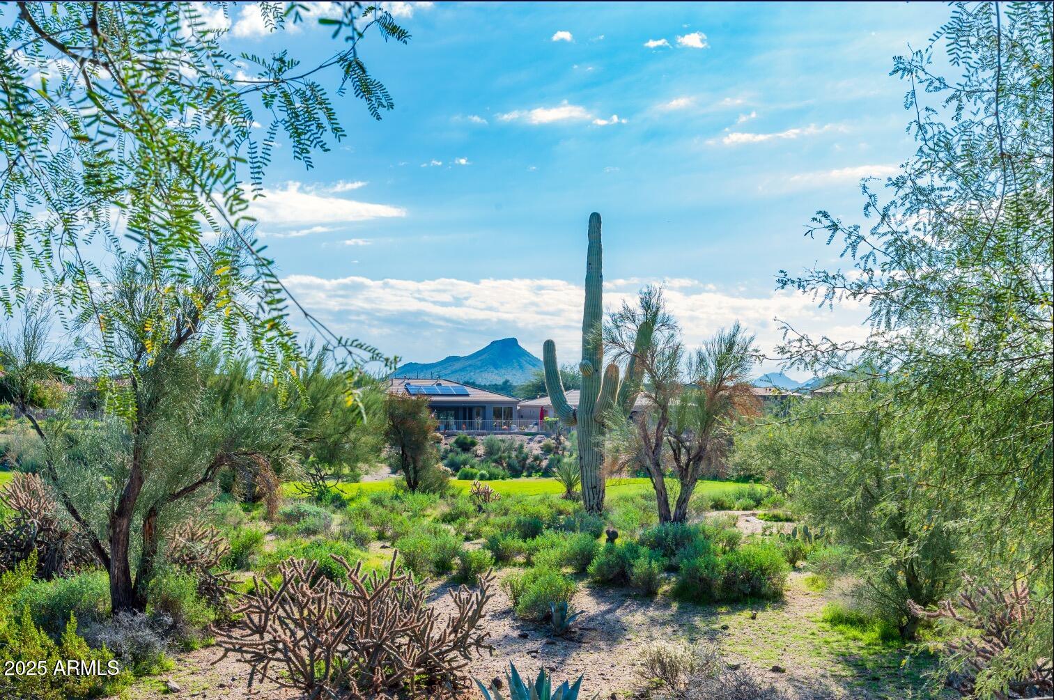 34415 N 99TH Street, Scottsdale, AZ 85262