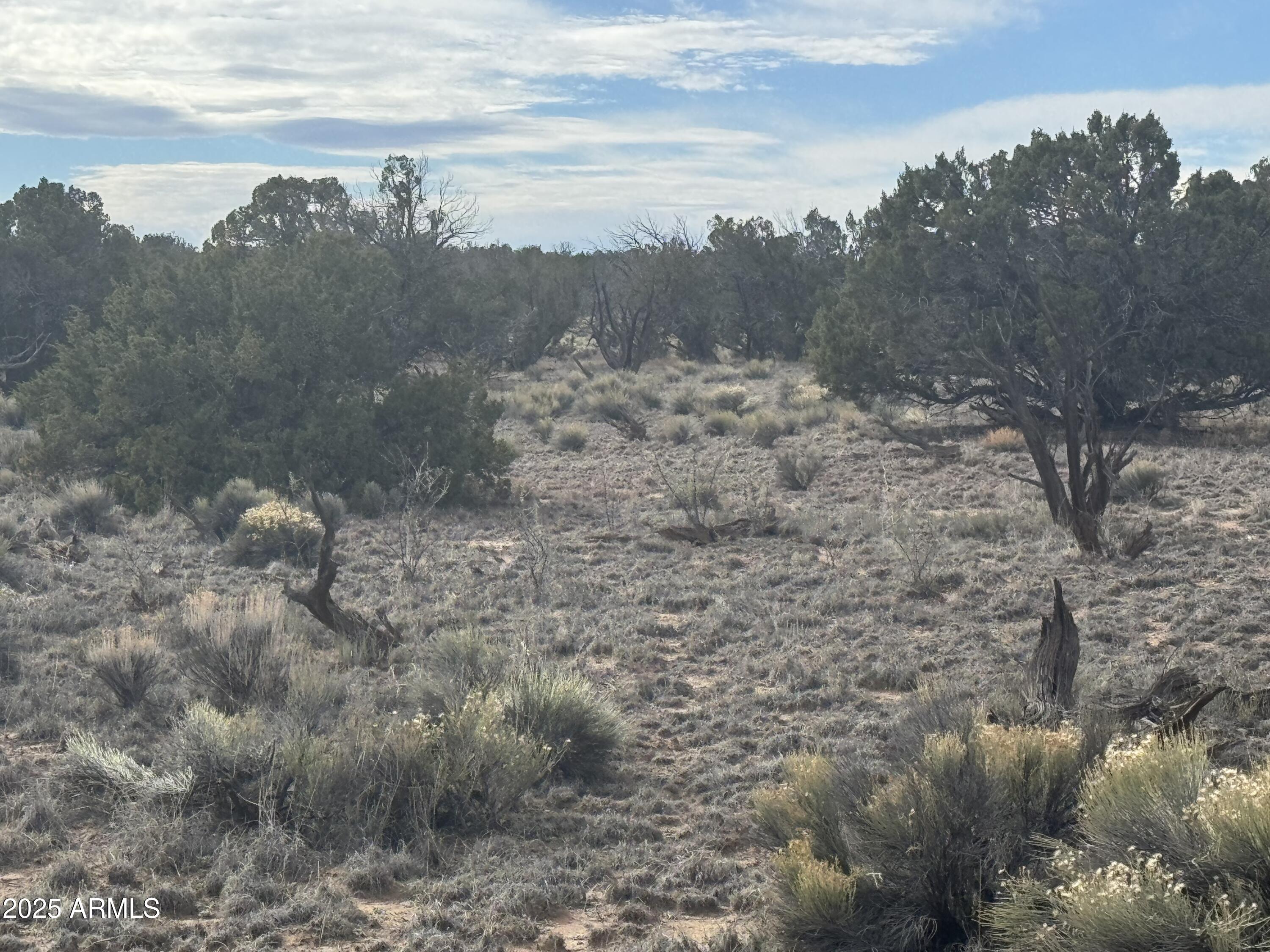 Lot 338 Sierra Highlands Ranch 338, St Johns, AZ 85936