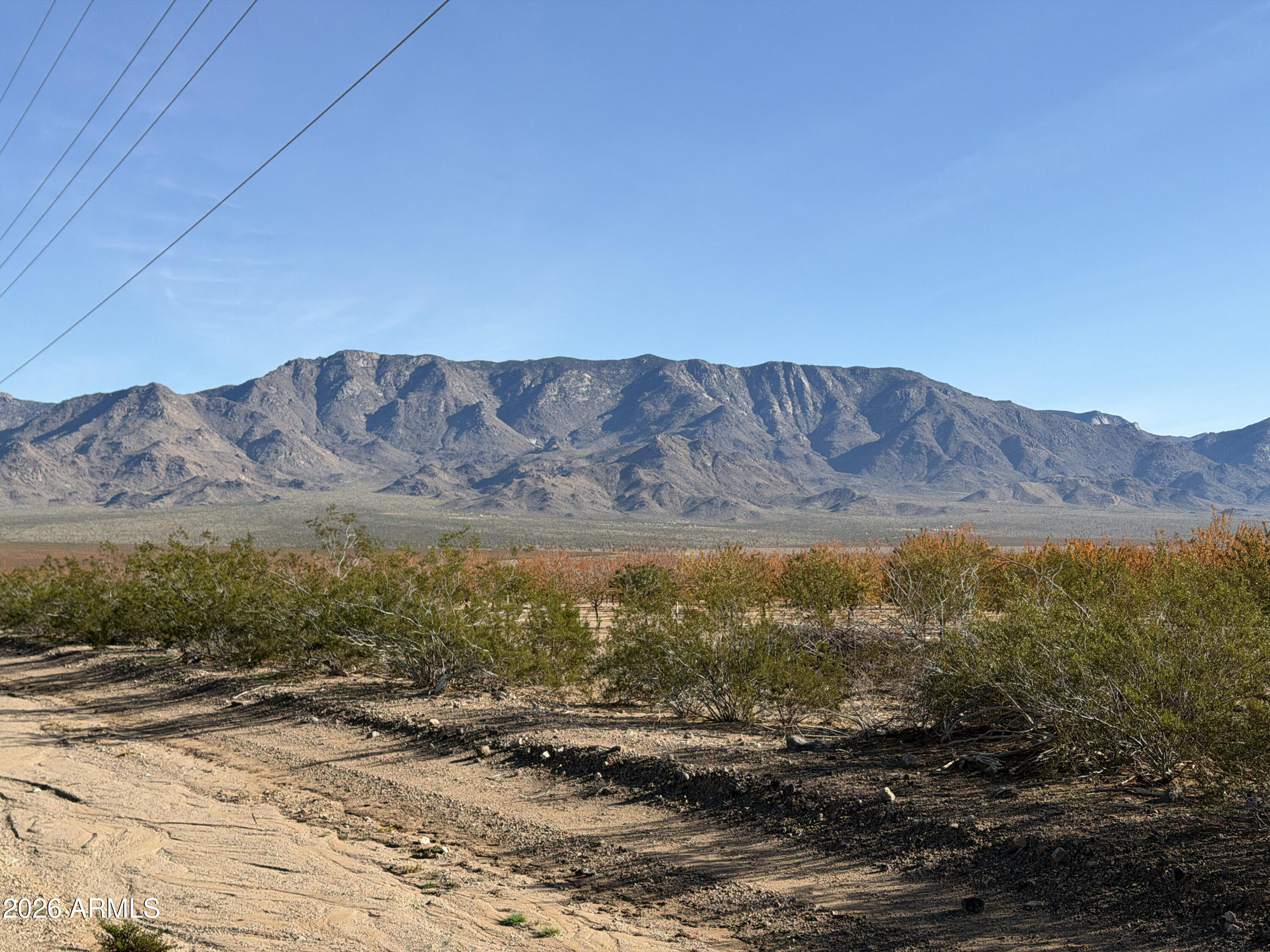 0 Bayleaf Drive -, Meadview, AZ 86444