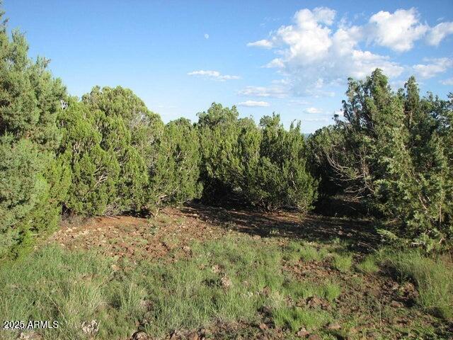 Sec 29 T14N, R17E: parcel 6 '''-''', Heber, AZ 85928