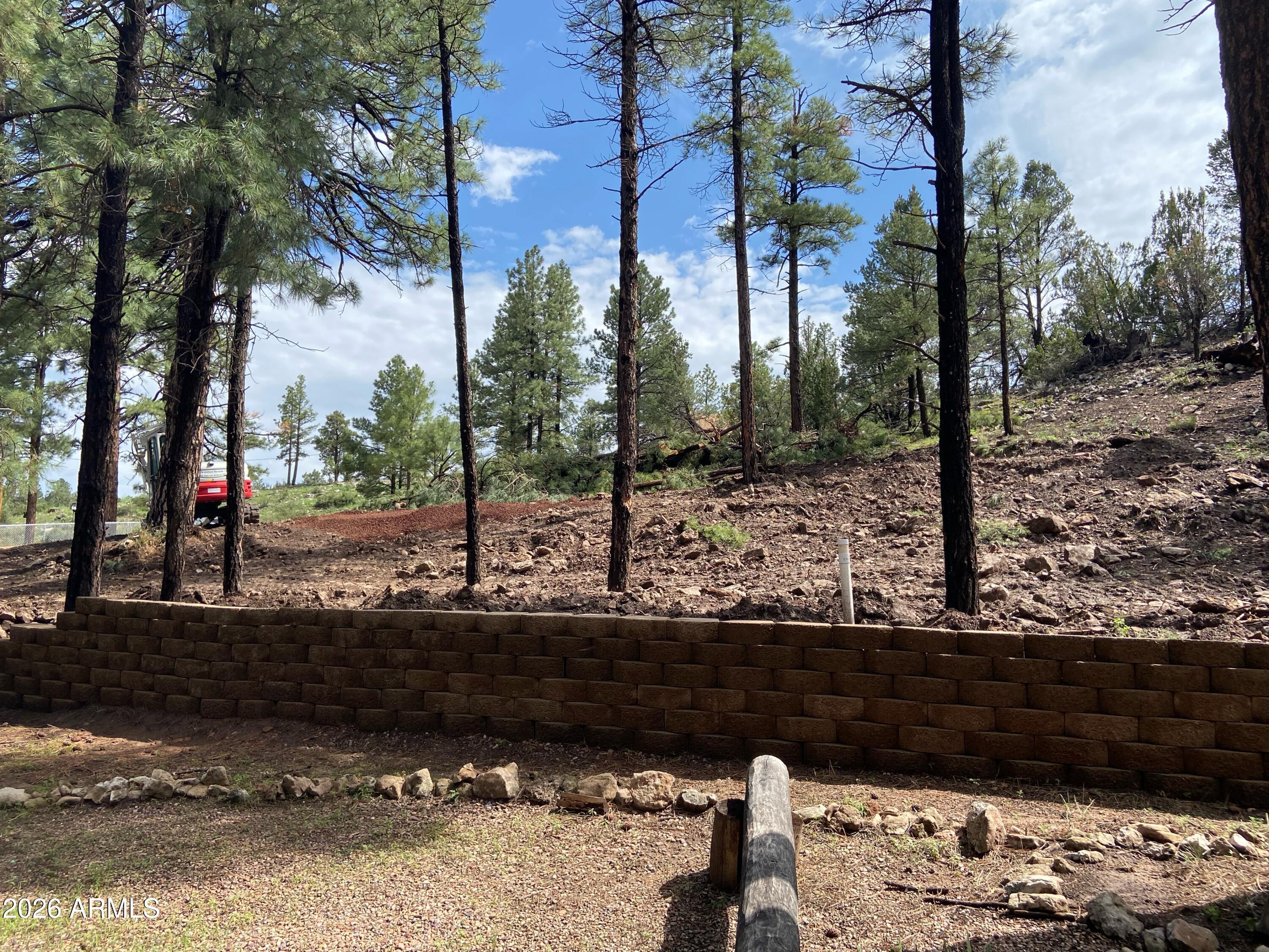 2820 PINE HILL Drive 20, Overgaard, AZ 85933