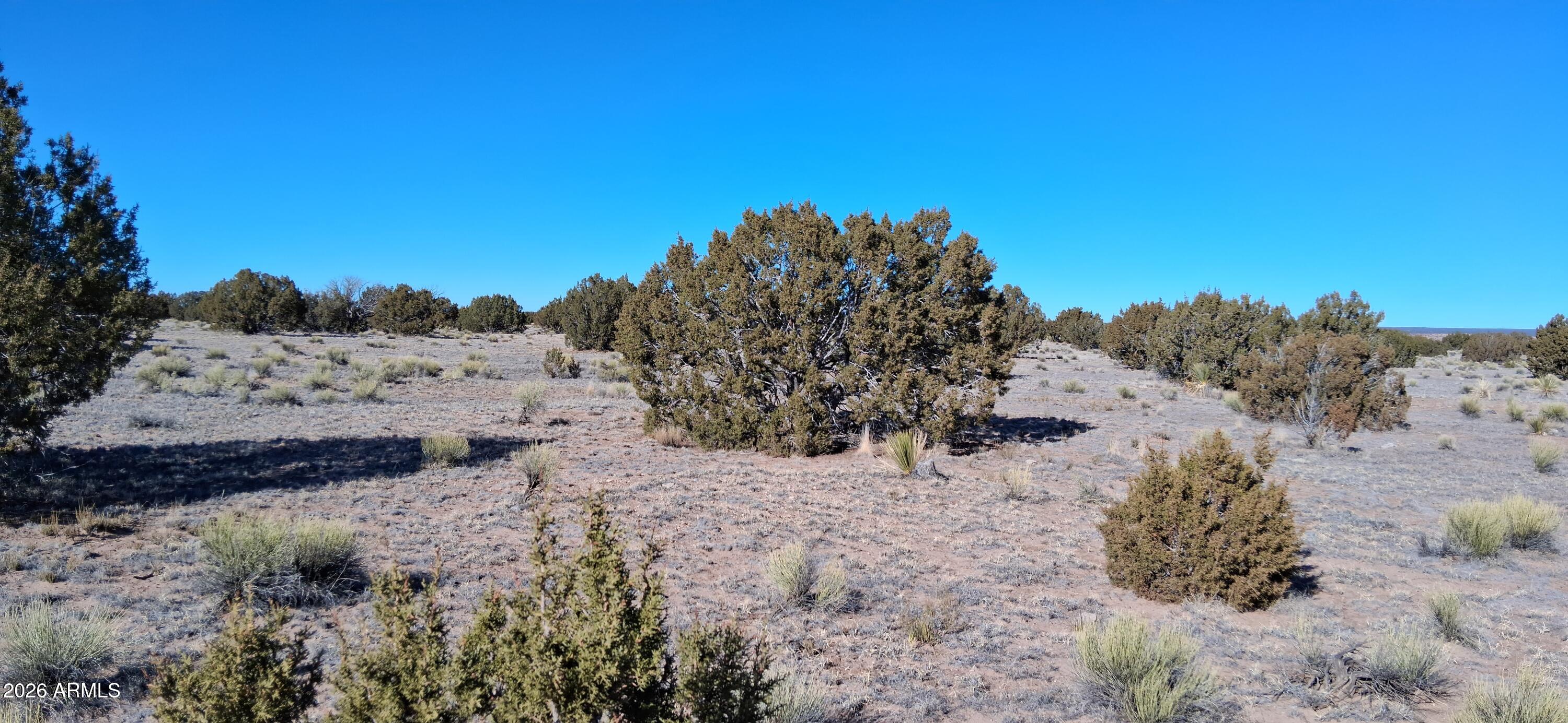 24 COUNTY ROAD N6578 857, St Johns, AZ 85936